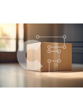Intra Συλλεκτικό Ξύλινο Παζλ Plywood  4mm - Χάρτινο κουτί στο ηλιόλουστο δωμάτιο Σε Ξύλινο Κουτί - Διαστάσεις Puzzle: 10x10 cm – 25 κομμάτια