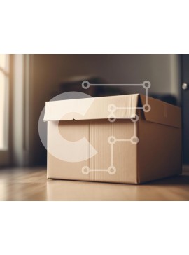 Intra Συλλεκτικό Ξύλινο Παζλ Plywood  4mm - Χάρτινο κουτί σε ένα άνετο δωμάτιο Σε Ξύλινο Κουτί - Διαστάσεις Puzzle: 10x10 cm – 25 κομμάτια