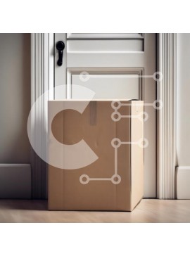 Intra Συλλεκτικό Ξύλινο Παζλ Plywood  4mm - Κουτί από χαρτόνι σε κλειστή πόρτα σε μινιμαλιστικό εσωτερικό Σε Ξύλινο Κουτί - Διαστάσεις Puzzle: 10x10 cm – 25 κομμάτια