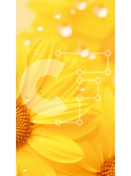 Σετ των 2 Intra Συλλεκτικό Ξύλινο Παζλ Plywood  4mm - Κοντινό πλάνο κίτρινων λουλουδιών με σταγονίδια νερού Σε Ξύλινο Κουτί - Διαστάσεις: 10x10 cm – 25 κομμάτια