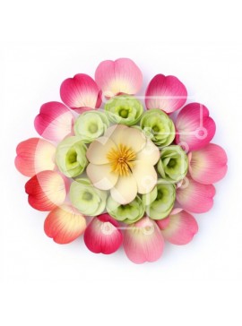 Σετ των 2 Intra Συλλεκτικό Ξύλινο Παζλ Plywood  4mm - Κομψή φλοράλ σύνθεση Σε Ξύλινο Κουτί - Διαστάσεις: 10x10 cm – 25 κομμάτια