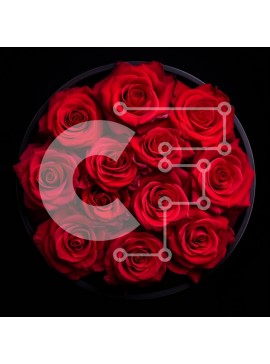 Σετ των 2 Intra Συλλεκτικό Ξύλινο Παζλ Plywood  4mm - Κομψή διάταξη από κόκκινα τριαντάφυλλα Σε Ξύλινο Κουτί - Διαστάσεις: 10x10 cm – 25 κομμάτια