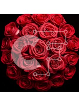 Σετ των 2 Intra Συλλεκτικό Ξύλινο Παζλ Plywood  4mm - Μπουκέτο με κόκκινα τριαντάφυλλα σε μαύρο φόντο Σε Ξύλινο Κουτί - Διαστάσεις: 10x10 cm – 25 κομμάτια