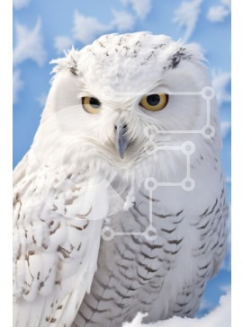 Σετ των 2 Intra Συλλεκτικό Ξύλινο Παζλ Plywood  4mm - Χιονισμένη κουκουβάγια σε μια χειμερινή χώρα των θαυμάτων Σε Ξύλινο Κουτί - Διαστάσεις: 10x10 cm – 25 κομμάτια