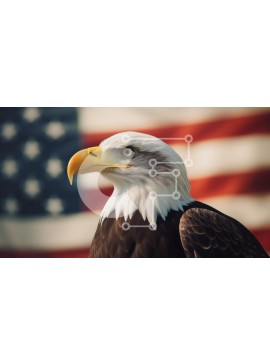 Intra Συλλεκτικό Ξύλινο Παζλ Plywood  4mm - Φαλακρός αετός με φόντο αμερικανική σημαία Σε Ξύλινο Κουτί - Διαστάσεις: 10x10 cm – 25 κομμάτια