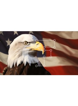 Intra Συλλεκτικό Ξύλινο Παζλ Plywood  4mm - Φαλακρός αετός κατά της αμερικανικής σημαίας Σε Ξύλινο Κουτί - Διαστάσεις: 10x10 cm – 25 κομμάτια