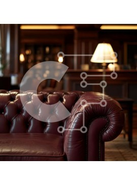 Intra Συλλεκτικό Ξύλινο Παζλ Plywood  4mm - Δερμάτινος καναπές μπορντό σε κομψό εσωτερικό Σε Ξύλινο Κουτί - Διαστάσεις Puzzle: 10x10 cm – 25 κομμάτια