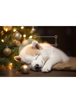 Σετ των 2 Intra Συλλεκτικό Ξύλινο Παζλ Plywood  4mm - Sleeping Puppy δίπλα στο χριστουγεννιάτικο δέντρο Σε Ξύλινο Κουτί - Διαστάσεις: 10x10 cm – 25 κομμάτια