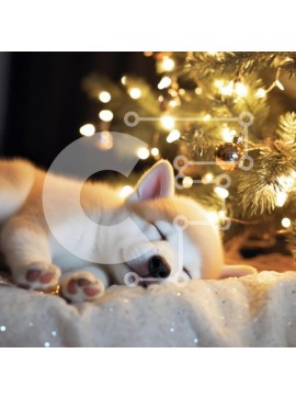 Intra Συλλεκτικό Ξύλινο Παζλ Plywood  4mm - Sleeping Puppy δίπλα στο χριστουγεννιάτικο δέντρο Σε Ξύλινο Κουτί - Διαστάσεις: 10x10 cm – 25 κομμάτια