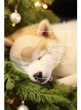 Σετ των 2 Intra Συλλεκτικό Ξύλινο Παζλ Plywood  4mm - Κουτάβι που κοιμάται κάτω από το χριστουγεννιάτικο δέντρο Σε Ξύλινο Κουτί - Διαστάσεις: 10x10 cm – 25 κομμάτια