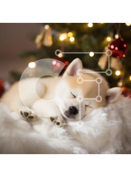 Intra Συλλεκτικό Ξύλινο Παζλ Plywood  4mm - Sleeping Puppy δίπλα στο χριστουγεννιάτικο δέντρο Σε Ξύλινο Κουτί - Διαστάσεις: 10x10 cm – 25 κομμάτια