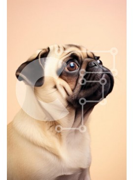 Σετ των 2 Intra Συλλεκτικό Ξύλινο Παζλ Plywood  4mm - Pug Dog στο προφίλ με μαλακό φόντο Σε Ξύλινο Κουτί - Διαστάσεις: 10x10 cm – 25 κομμάτια