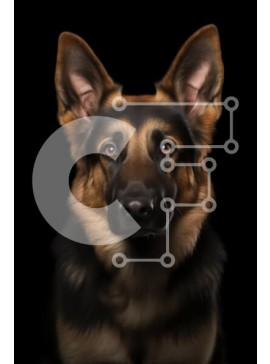 Σετ των 2 Intra Συλλεκτικό Ξύλινο Παζλ Plywood  4mm - Κοντινό πλάνο πορτρέτο ενός γερμανικού ποιμενικού σκύλου Σε Ξύλινο Κουτί - Διαστάσεις: 10x10 cm – 25 κομμάτια