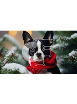 Σετ των 2 Intra Συλλεκτικό Ξύλινο Παζλ Plywood  4mm - Boston Terrier σε χειμερινό σκηνικό με κόκκινο κασκόλ Σε Ξύλινο Κουτί - Διαστάσεις: 10x10 cm – 25 κομμάτια