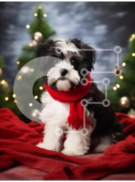 Σετ των 2 Intra Συλλεκτικό Ξύλινο Παζλ Plywood  4mm - Εορταστικό πορτρέτο σκύλου με χριστουγεννιάτικη διακόσμηση Σε Ξύλινο Κουτί - Διαστάσεις: 10x10 cm – 25 κομμάτια