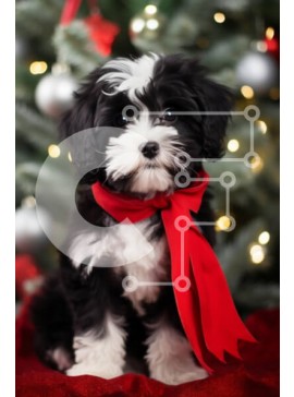 Σετ των 2 Intra Συλλεκτικό Ξύλινο Παζλ Plywood  4mm - Αξιολάτρευτο κουτάβι σε χριστουγεννιάτικο σκηνικό Σε Ξύλινο Κουτί - Διαστάσεις: 10x10 cm – 25 κομμάτια