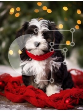 Σετ των 2 Intra Συλλεκτικό Ξύλινο Παζλ Plywood  4mm - Κουτάβι σε περιβάλλον διακοπών Σε Ξύλινο Κουτί - Διαστάσεις: 10x10 cm – 25 κομμάτια