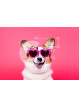 Σετ των 2 Intra Συλλεκτικό Ξύλινο Παζλ Plywood  4mm - Σκύλος Corgi με γυαλιά ηλίου σε σχήμα καρδιάς Σε Ξύλινο Κουτί - Διαστάσεις: 10x10 cm – 25 κομμάτια