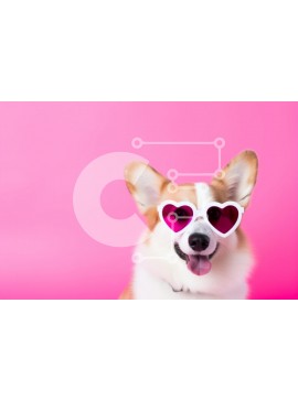 Σετ των 2 Intra Συλλεκτικό Ξύλινο Παζλ Plywood  4mm - Σκύλος Corgi με γυαλιά ηλίου σε σχήμα καρδιάς Σε Ξύλινο Κουτί - Διαστάσεις: 10x10 cm – 25 κομμάτια