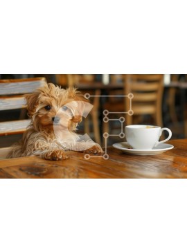 Intra Συλλεκτικό Ξύλινο Παζλ Plywood  4mm - Μικρό σκυλί σε ένα τραπέζι καφέ Σε Ξύλινο Κουτί - Διαστάσεις: 10x10 cm – 25 κομμάτια