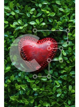 Σετ των 2 Intra Συλλεκτικό Ξύλινο Παζλ Plywood  4mm - Κόκκινη δερμάτινη καρδιά σε πράσινα φύλλα Σε Ξύλινο Κουτί - Διαστάσεις: 10x10 cm – 25 κομμάτια