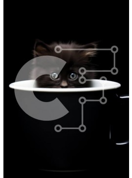 Σετ των 2 Intra Συλλεκτικό Ξύλινο Παζλ Plywood  4mm - Μαύρο γατάκι σε λευκό κύπελλο Σε Ξύλινο Κουτί - Διαστάσεις: 10x10 cm – 25 κομμάτια