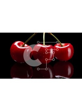 Σετ των 2 Intra Συλλεκτικό Ξύλινο Παζλ Plywood  4mm - Φρέσκα κόκκινα κεράσια σε μαύρο φόντο Σε Ξύλινο Κουτί - Διαστάσεις: 10x10 cm – 25 κομμάτια