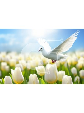 Intra Συλλεκτικό Ξύλινο Παζλ Plywood  4mm - Περιστέρι που πετά πάνω από τουλίπες κάτω από το γαλάζιο του ουρανού Σε Ξύλινο Κουτί - Διαστάσεις: 10x10 cm – 25 κομμάτια