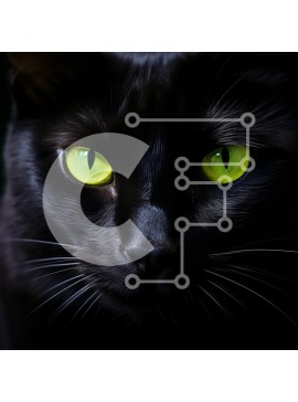 Intra Συλλεκτικό Ξύλινο Παζλ Plywood  4mm - Κοντινό πλάνο μιας μαύρης γάτας με πράσινα μάτια Σε Ξύλινο Κουτί - Διαστάσεις: 10x10 cm – 25 κομμάτια