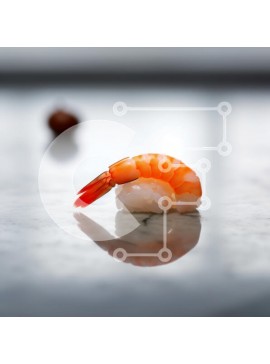 Σετ των 2 Intra Συλλεκτικό Ξύλινο Παζλ Plywood  4mm - Sushi Nigiri με γαρίδες σε μαρμάρινη επιφάνεια Σε Ξύλινο Κουτί - Διαστάσεις: 10x10 cm – 25 κομμάτια