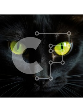 Intra Συλλεκτικό Ξύλινο Παζλ Plywood  4mm - Έντονο βλέμμα μαύρης γάτας με εντυπωσιακά πράσινα μάτια Σε Ξύλινο Κουτί - Διαστάσεις: 10x10 cm – 25 κομμάτια