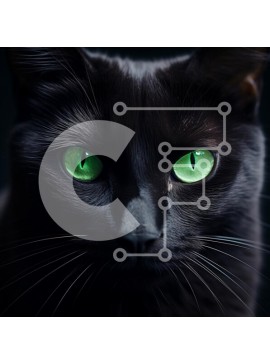 Intra Συλλεκτικό Ξύλινο Παζλ Plywood  4mm - Μαύρη γάτα με πράσινα μάτια Σε Ξύλινο Κουτί - Διαστάσεις: 10x10 cm – 25 κομμάτια