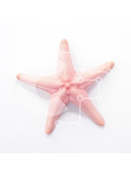 Intra Συλλεκτικό Ξύλινο Παζλ Plywood  4mm - Ροζ αστερίας σε άσπρο φόντο Σε Ξύλινο Κουτί - Διαστάσεις: 10x10 cm – 25 κομμάτια