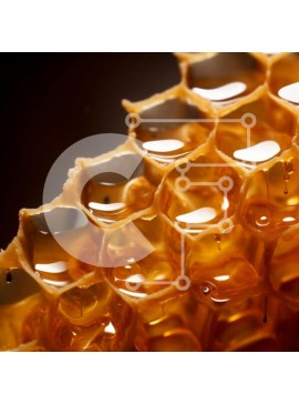 Σετ των 2 Intra Συλλεκτικό Ξύλινο Παζλ Plywood  4mm - Κοντινό πλάνο της κηρήθρας με το μέλι που στάζει Σε Ξύλινο Κουτί - Διαστάσεις: 10x10 cm – 25 κομμάτια