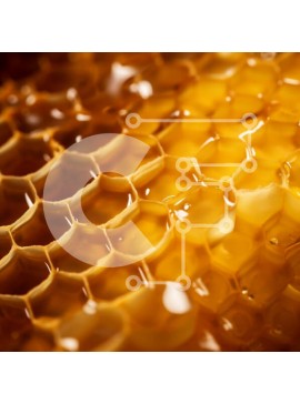 Σετ των 2 Intra Συλλεκτικό Ξύλινο Παζλ Plywood  4mm - Κοντινό πλάνο της κηρήθρας με μέλι Σε Ξύλινο Κουτί - Διαστάσεις: 10x10 cm – 25 κομμάτια