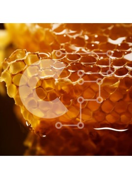 Σετ των 2 Intra Συλλεκτικό Ξύλινο Παζλ Plywood  4mm - Κινηματογράφηση σε πρώτο πλάνο της κηρήθρας με το μέλι Σε Ξύλινο Κουτί - Διαστάσεις: 10x10 cm – 25 κομμάτια