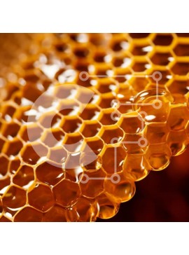 Σετ των 2 Intra Συλλεκτικό Ξύλινο Παζλ Plywood  4mm - Κοντινό πλάνο της κηρήθρας με μέλι Σε Ξύλινο Κουτί - Διαστάσεις: 10x10 cm – 25 κομμάτια