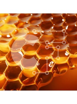 Σετ των 2 Intra Συλλεκτικό Ξύλινο Παζλ Plywood  4mm - Κινηματογράφηση σε πρώτο πλάνο της κηρήθρας με το μέλι Σε Ξύλινο Κουτί - Διαστάσεις: 10x10 cm – 25 κομμάτια