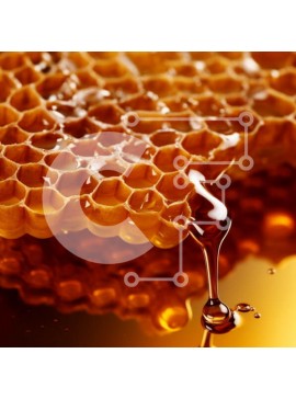 Σετ των 2 Intra Συλλεκτικό Ξύλινο Παζλ Plywood  4mm - Κοντινό πλάνο της κηρήθρας με το μέλι που στάζει Σε Ξύλινο Κουτί - Διαστάσεις: 10x10 cm – 25 κομμάτια