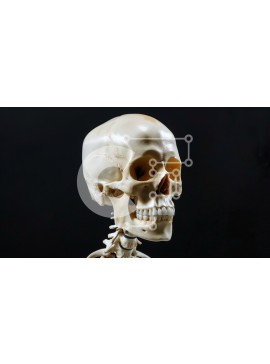 Intra Συλλεκτικό Ξύλινο Παζλ Plywood  4mm - Ανθρώπινο κρανίο σε μαύρο φόντο Σε Ξύλινο Κουτί - Διαστάσεις Puzzle: 10x10 cm – 25 κομμάτια