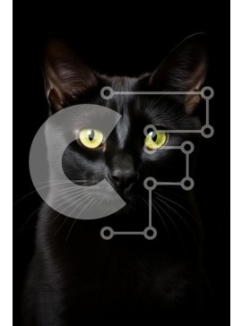 Σετ των 2 Intra Συλλεκτικό Ξύλινο Παζλ Plywood  4mm - Μαύρη γάτα πορτρέτο με κίτρινα μάτια Σε Ξύλινο Κουτί - Διαστάσεις: 10x10 cm – 25 κομμάτια