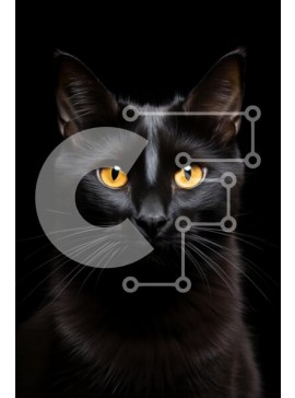 Σετ των 2 Intra Συλλεκτικό Ξύλινο Παζλ Plywood  4mm - Μαύρη γάτα με κίτρινα μάτια Σε Ξύλινο Κουτί - Διαστάσεις: 10x10 cm – 25 κομμάτια