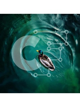 Intra Συλλεκτικό Ξύλινο Παζλ Plywood  4mm - Πάπια που κολυμπά σε ήρεμα νερά Σε Ξύλινο Κουτί - Διαστάσεις: 10x10 cm – 25 κομμάτια