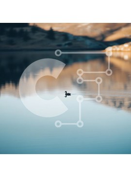 Intra Συλλεκτικό Ξύλινο Παζλ Plywood  4mm - Πάπια που γλιστρά σε μια ήρεμη λίμνη Σε Ξύλινο Κουτί - Διαστάσεις: 10x10 cm – 25 κομμάτια