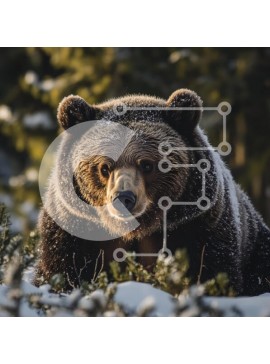 Intra Συλλεκτικό Ξύλινο Παζλ Plywood  4mm - Αρκούδα στο χιονισμένο τοπίο Σε Ξύλινο Κουτί - Διαστάσεις: 10x10 cm – 25 κομμάτια