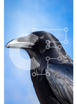 Σετ των 2 Intra Συλλεκτικό Ξύλινο Παζλ Plywood  4mm - Κοντινό πλάνο ενός κορακιού ενάντια στο Blue Sky Σε Ξύλινο Κουτί - Διαστάσεις: 10x10 cm – 25 κομμάτια