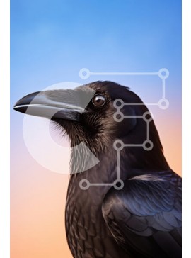 Σετ των 2 Intra Συλλεκτικό Ξύλινο Παζλ Plywood  4mm - Κοντινό πλάνο ενός κορακιού ενάντια στον ουρανό κλίσης Σε Ξύλινο Κουτί - Διαστάσεις: 10x10 cm – 25 κομμάτια