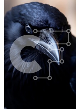 Σετ των 2 Intra Συλλεκτικό Ξύλινο Παζλ Plywood  4mm - Κοντινό πλάνο ενός κορακιού Σε Ξύλινο Κουτί - Διαστάσεις: 10x10 cm – 25 κομμάτια