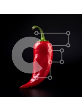 Σετ των 2 Intra Συλλεκτικό Ξύλινο Παζλ Plywood  4mm - Κόκκινο πιπέρι τσίλι σε μαύρο φόντο Σε Ξύλινο Κουτί - Διαστάσεις: 10x10 cm – 25 κομμάτια