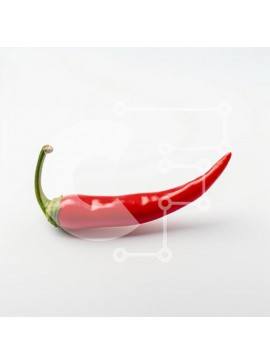 Σετ των 2 Intra Συλλεκτικό Ξύλινο Παζλ Plywood  4mm - Κόκκινο πιπέρι τσίλι σε άσπρο φόντο Σε Ξύλινο Κουτί - Διαστάσεις: 10x10 cm – 25 κομμάτια